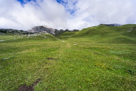 Landscape nature grass outdoor Photo