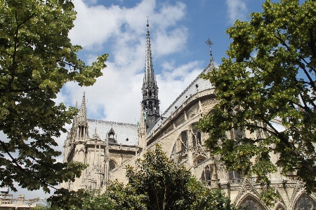 Foto Pohon arsitektur bangunan paris