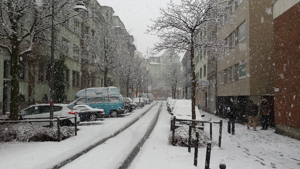 雪 寒冷的 冬天 白色的