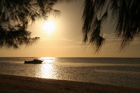 Beach sea coast nature Photo