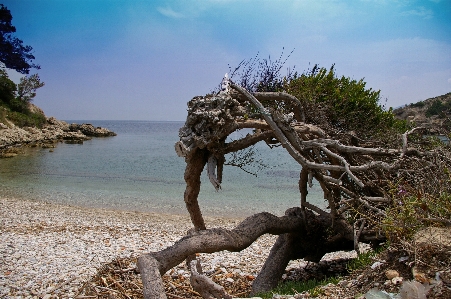 Beach landscape sea coast Photo