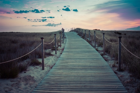 Sea nature path pathway Photo