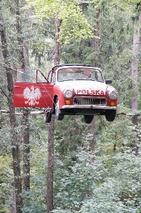 Forest trail car jeep Photo