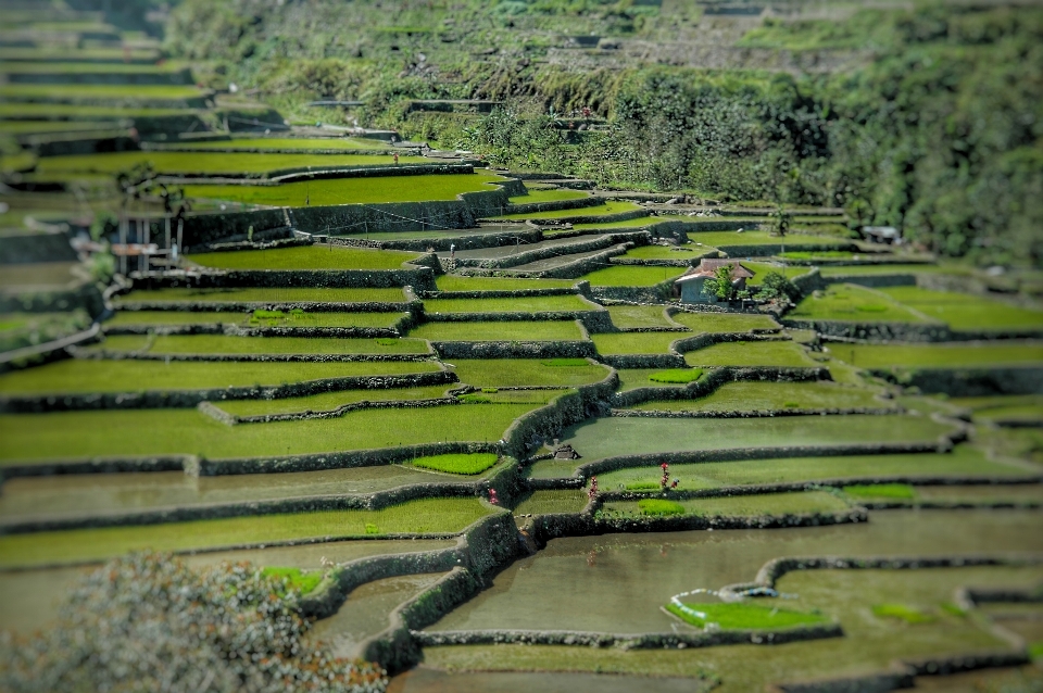 Paisagem natureza campo solo