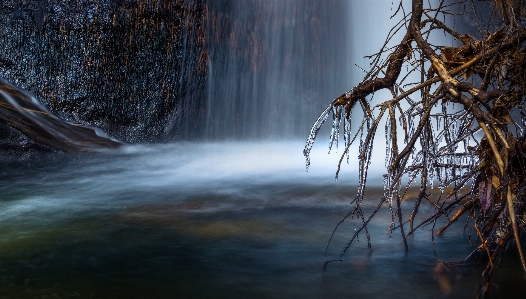 Landscape tree water nature Photo