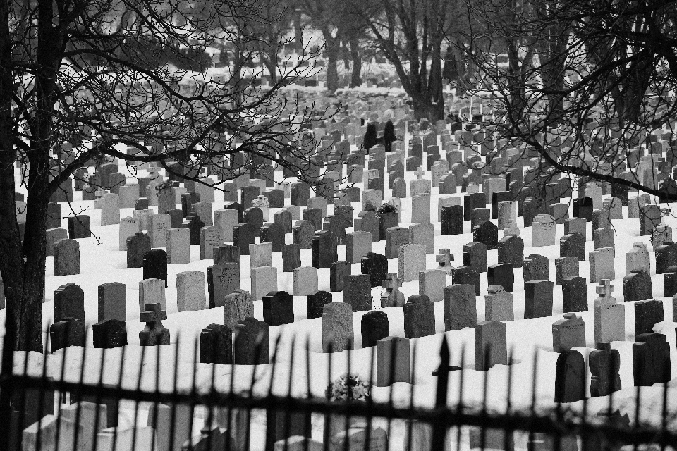 Czarny i biały
 cmentarz monochromia śmierć