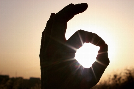 Hand silhouette light sun Photo