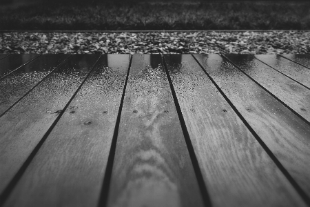 Foto Leggero bianco e nero
 ponte legna