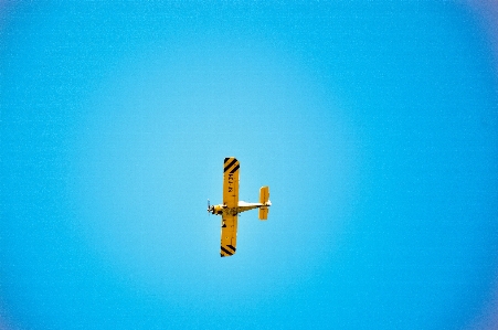 手 羽 空 番号 写真