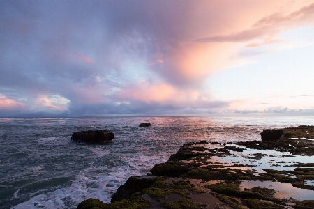 Beach sea coast rock Photo