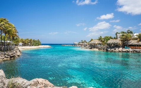 Beach sea coast ocean Photo