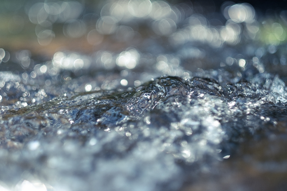 Acqua natura ramo nevicare