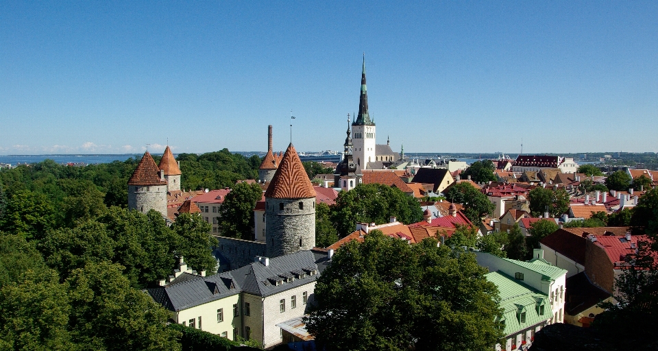 Architektura miasto budynek pałac
