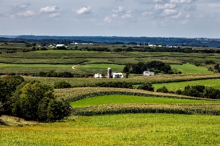 Landscape nature grass marsh Photo