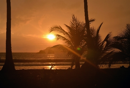 Beach sea coast water Photo