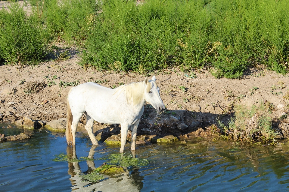 Water nature sand wilderness