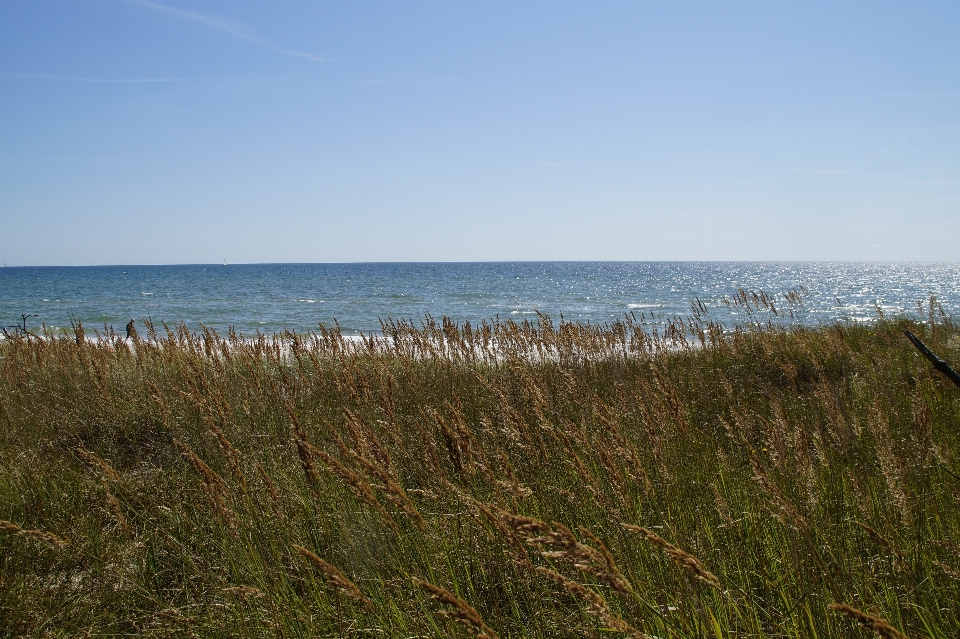 Beach landscape sea coast