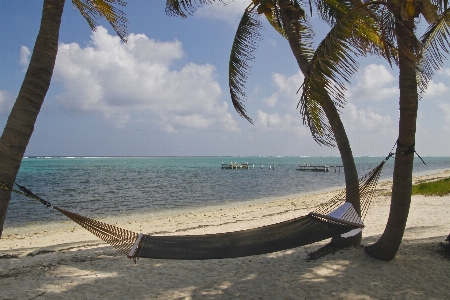 Beach landscape sea coast Photo