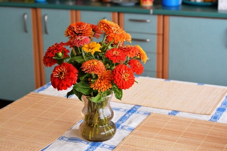 Plant flower summer bouquet Photo