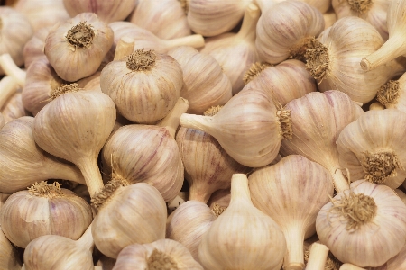 Anlage essen zutat
 knoblauch Foto