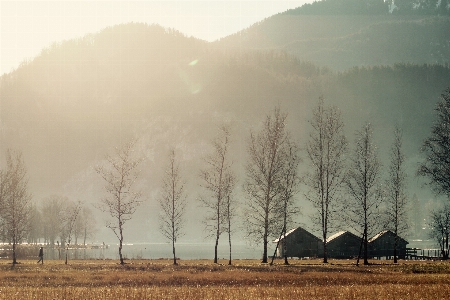 Landschaft baum natur wald Foto