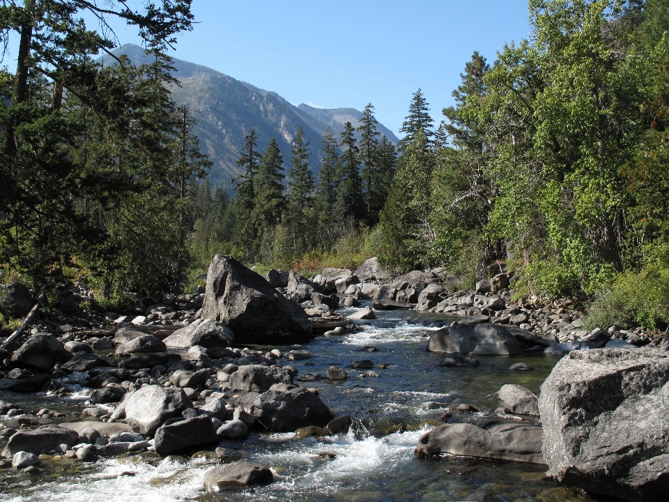 Landscape water nature forest