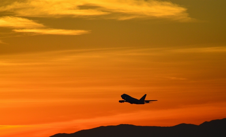 Landscape horizon silhouette wing