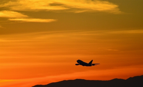 Landscape horizon silhouette wing Photo