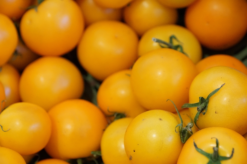 Anlage frucht orange essen