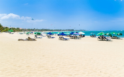 Beach sea coast sand Photo