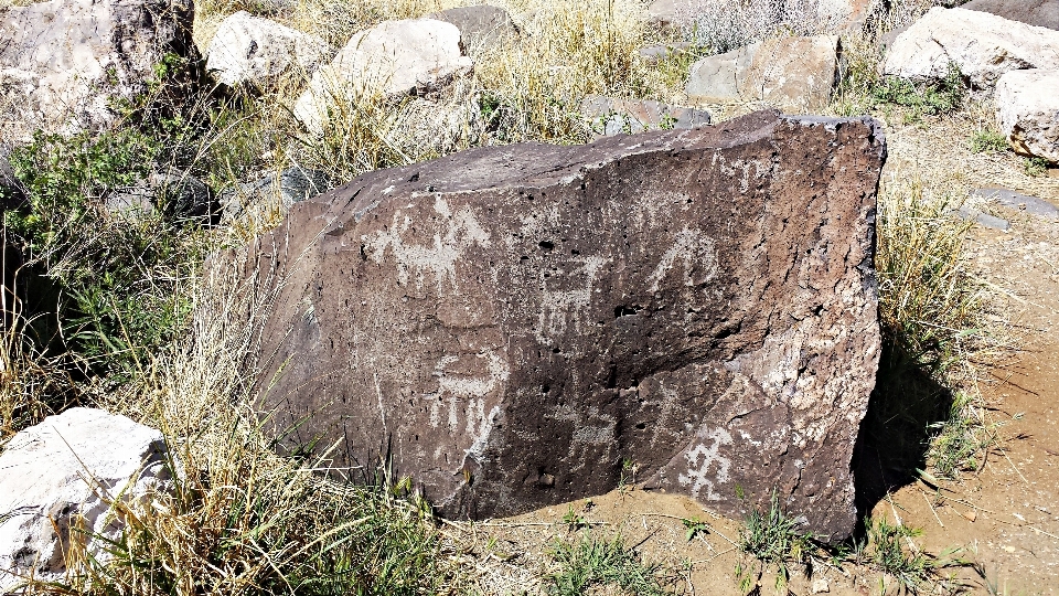 Ağaç rock iz çöl