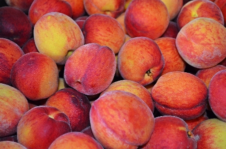 Foto Alam tanaman buah makanan