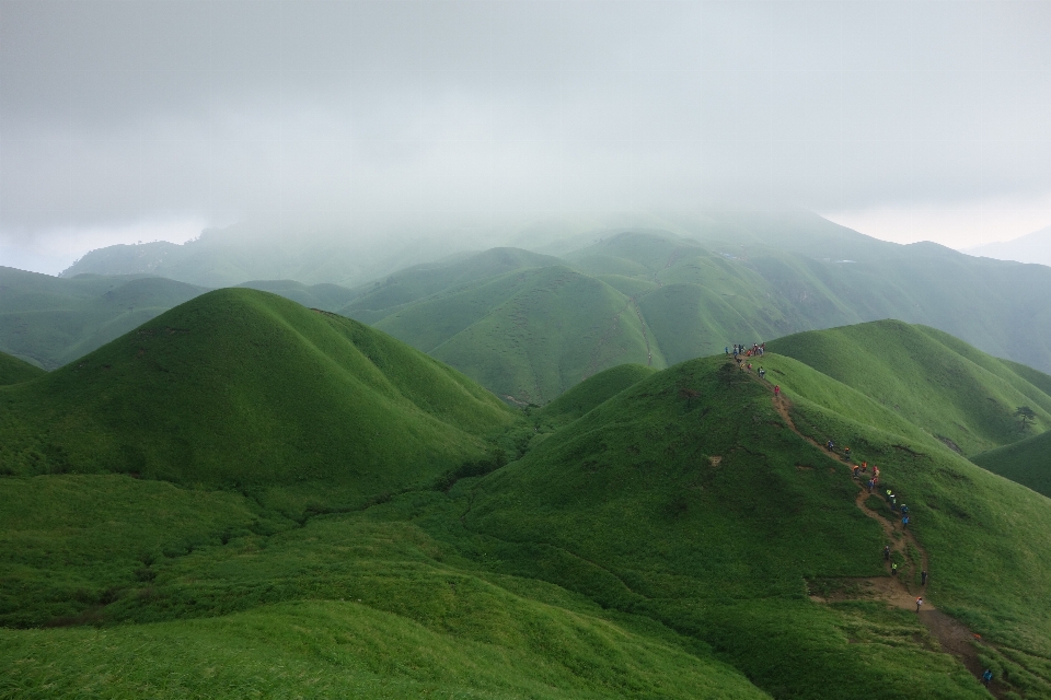 Paesaggio natura erba montagna