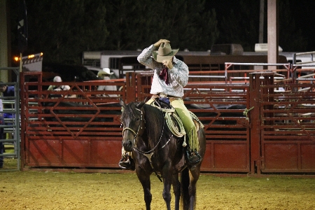 Foto Cavalo chapéu esportes vaqueiro