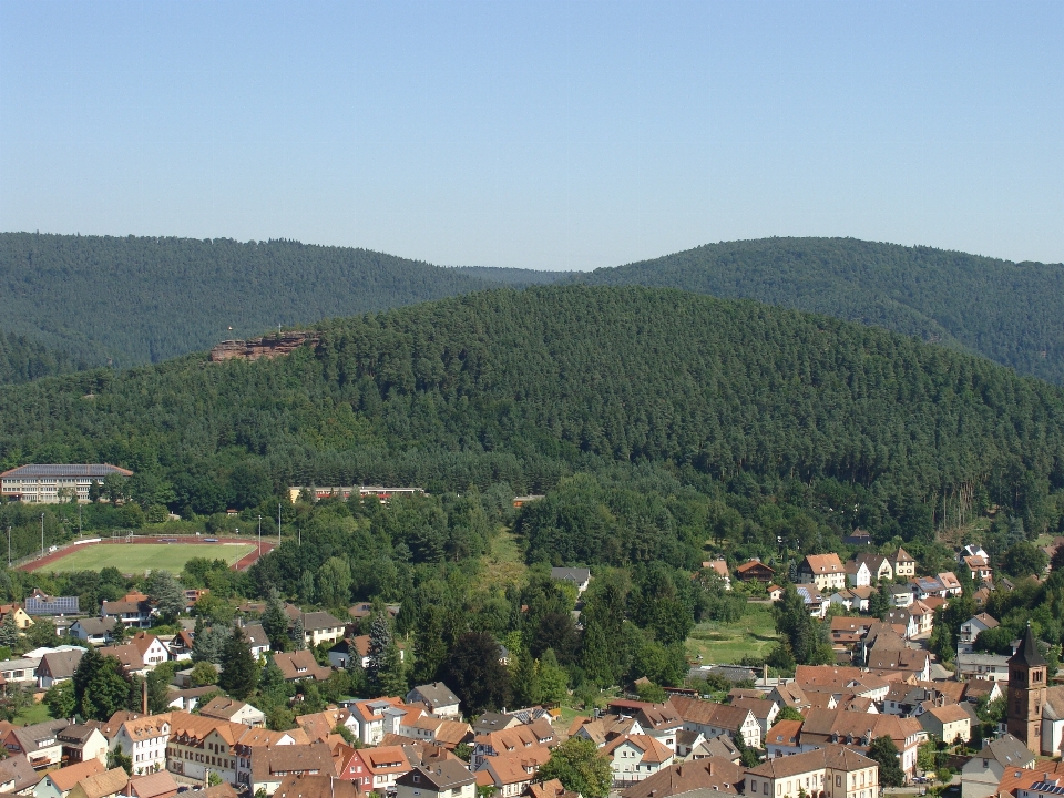 Landschaft natur wald berg