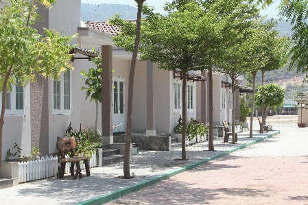 Ağaç villa ev plaza
 Fotoğraf