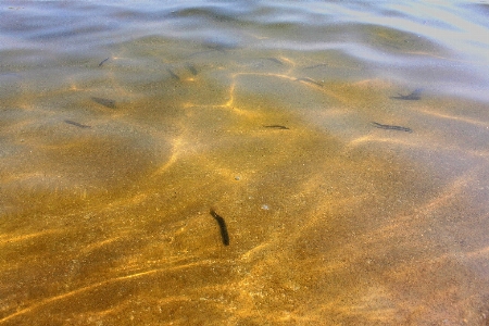 Sea coast water sand Photo