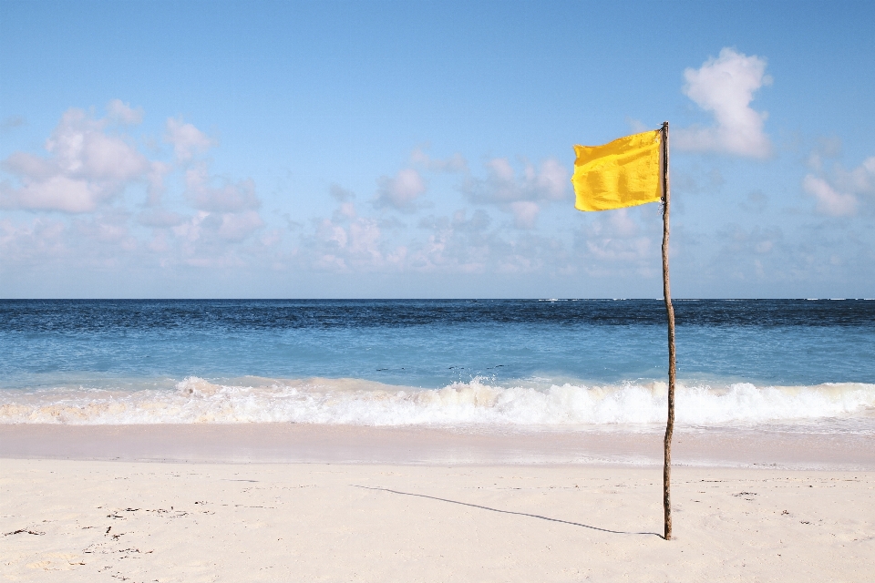 Beach landscape sea coast