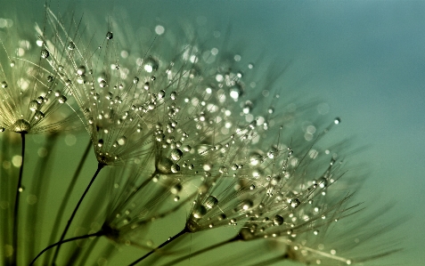 Tree water nature grass Photo