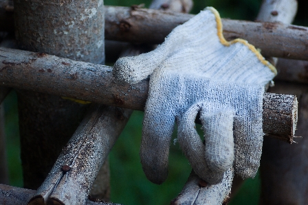 Work hand tree nature Photo