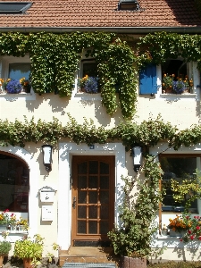 Foto Estrutura villa casa flor