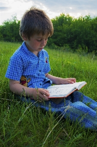 Nature grass outdoor book Photo