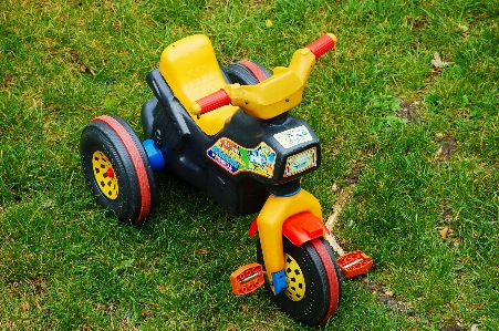 Lawn meadow wheel tricycle Photo