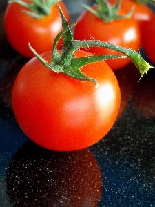 Plant fruit food mediterranean Photo