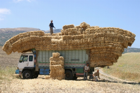 Arbeiten sand heu hütte Foto