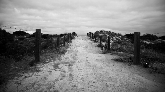 Beach landscape nature forest Photo