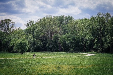 Mann landschaft baum natur Foto