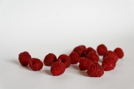 Plant raspberry fruit berry Photo