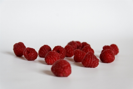 Plant raspberry fruit berry Photo