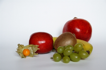 Apple plant fruit ripe Photo